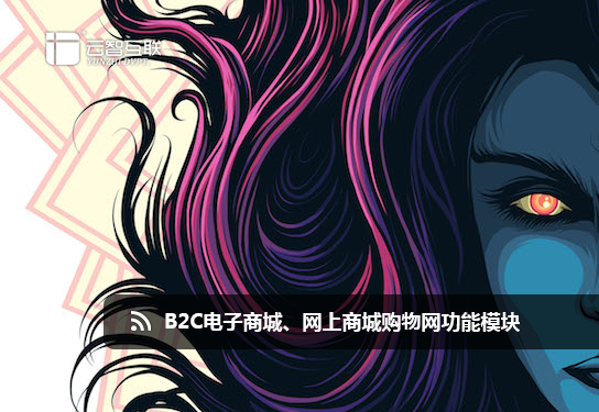 B2C電子商城網(wǎng)上商城購(gòu)物網(wǎng)站