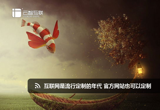 互聯(lián)網(wǎng)是流行定制的年代 官方網(wǎng)站也可以定制