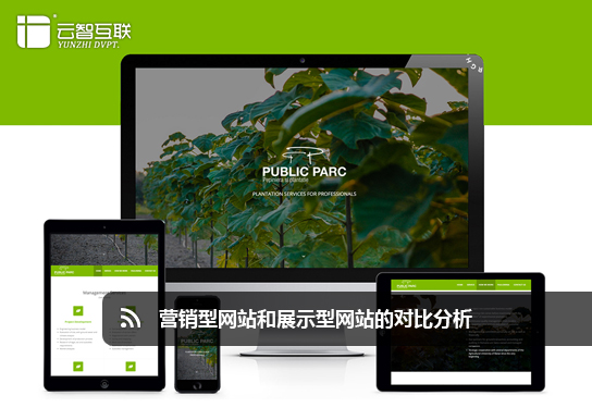 營銷型網(wǎng)站和展示型網(wǎng)站的對(duì)比分析.jpg